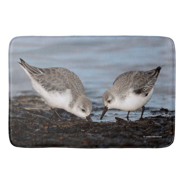 Niedliches Paar Sanderlings Shares a Seaside Meal Badematte (Vorderseite)
