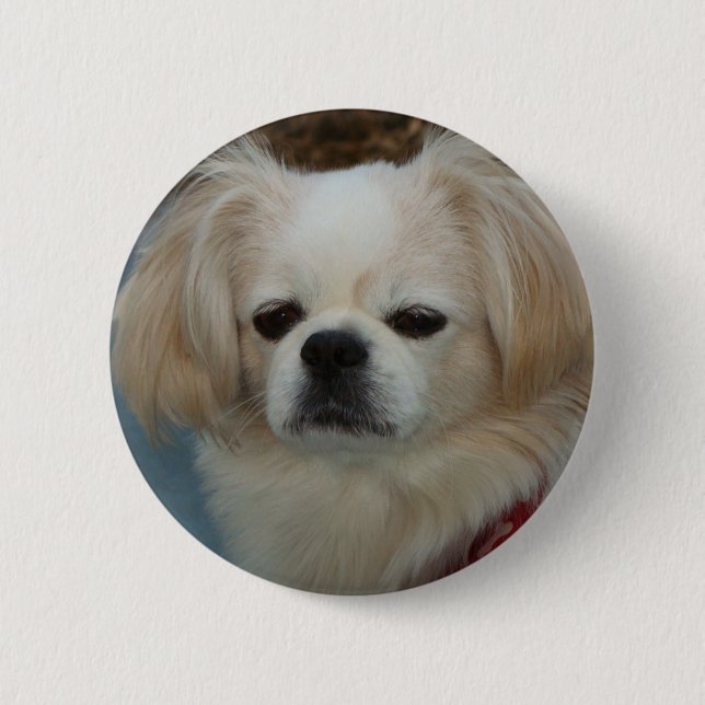 niedliches Pekingese Button (Vorderseite)