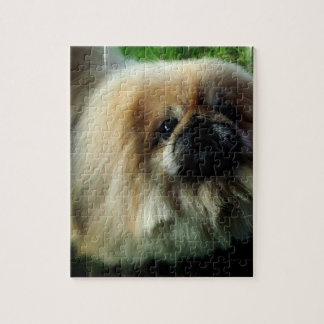 Niedliches Pekingese Puzzlespiel Puzzle