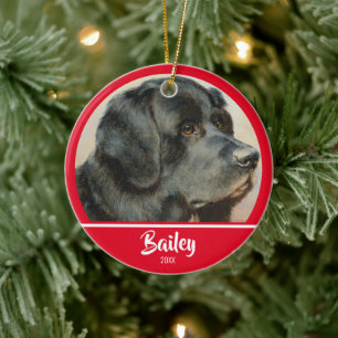 Niedliches Personalisiertes HundeFoto Keramik Ornament