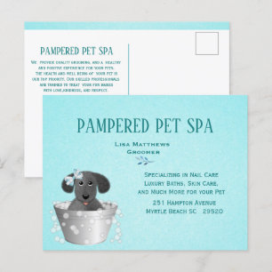 Niedliches Pet Groomer Budget Marketing Postkarte