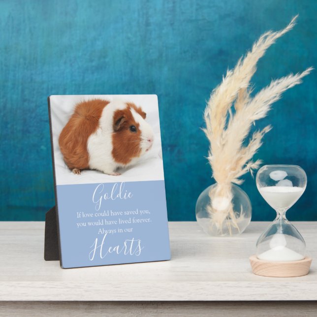Niedliches Pet-Memorial Fotoplatte (Seite)