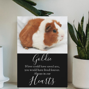 Niedliches Pet-Memorial Fotoplatte