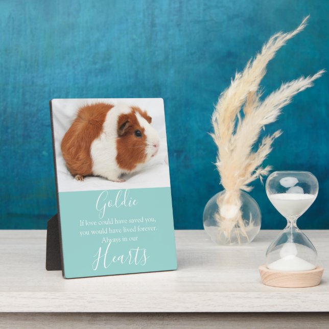 Niedliches Pet-Memorial Fotoplatte (Seite)