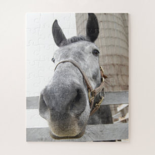Niedliches Pferd Nah Puzzle