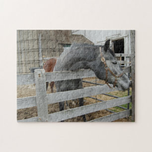 Niedliches Pferd vor einer Scheune Puzzle