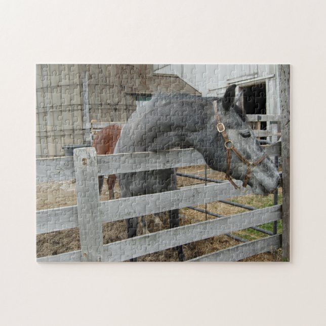 Niedliches Pferd vor einer Scheune Puzzle (Horizontal)