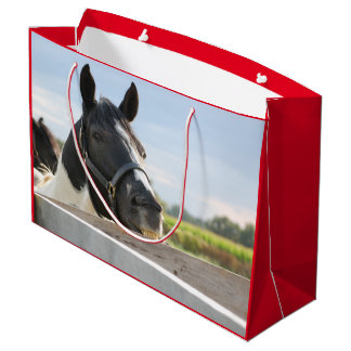 Niedliches Pferdekauen auf der Zaun-Post Große Geschenktüte