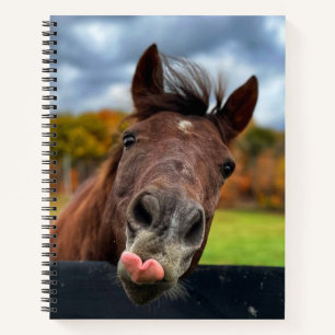 Niedliches Pferdeschlittenheft Notizbuch