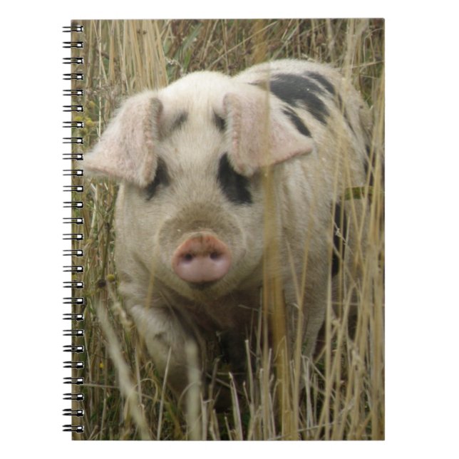 Niedliches Pig-Notebook Notizblock (Vorderseite)