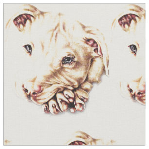 Niedliches Pitbull, das mit den gefalteten Tatzen Stoff