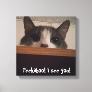 Niedliches Playful Kitty-Katzen-Bild eingewickelte Leinwanddruck