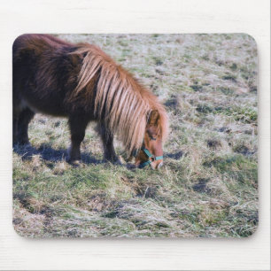 Niedliches Pony, das auf der Koppel weiden lässt Mousepad