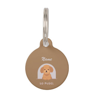 Niedliches Poodle Hund Haustiere Liebe Pfeffer Hau Haustiermarke