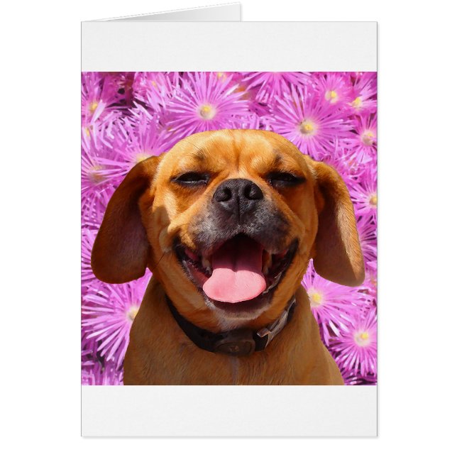 Niedliches Puggle (Vorne)