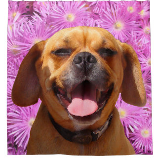 Niedliches Puggle Duschvorhang