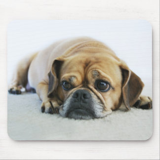 Niedliches Puggle Mousepad