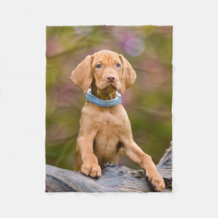 Niedliches puppyeyed Ungar Vizsla Hundewelpen-Foto Fleecedecke
