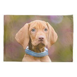 Niedliches puppyeyed Ungar Vizsla Hundewelpen-Foto Kissenbezug