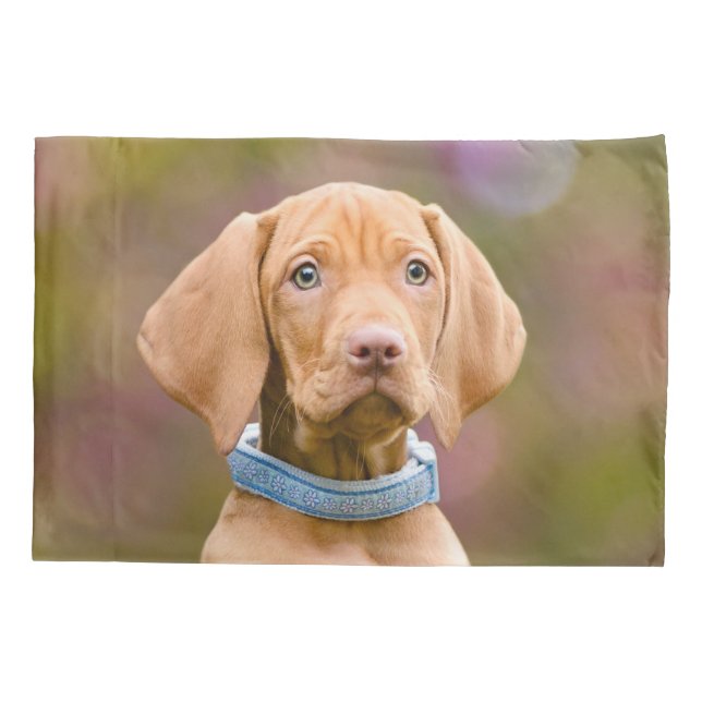 Niedliches puppyeyed Ungar Vizsla Hundewelpen-Foto Kissenbezug (Rückseite)
