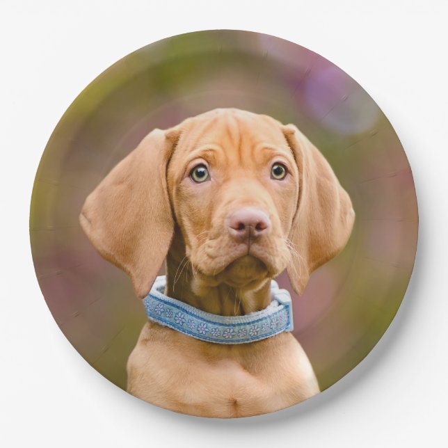 Niedliches puppyeyed Ungar Vizsla Hundewelpen-Foto Pappteller (Vorderseite)