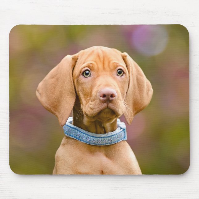 Niedliches puppyeyed Ungar Vizsla Mousepad (Vorne)