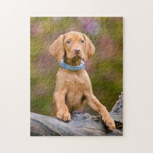 Niedliches puppyeyed Ungar Vizsla Puzzle
