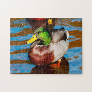 Niedliches Puzzle Little Mallard Duck Jigsaw