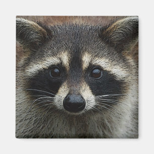 Niedliches Raccoon Face Foto Magnet