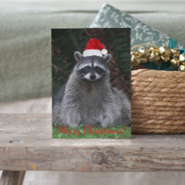 Niedliches Raccoon mit roter Weihnachtsmannmütze Feiertagspostkarte