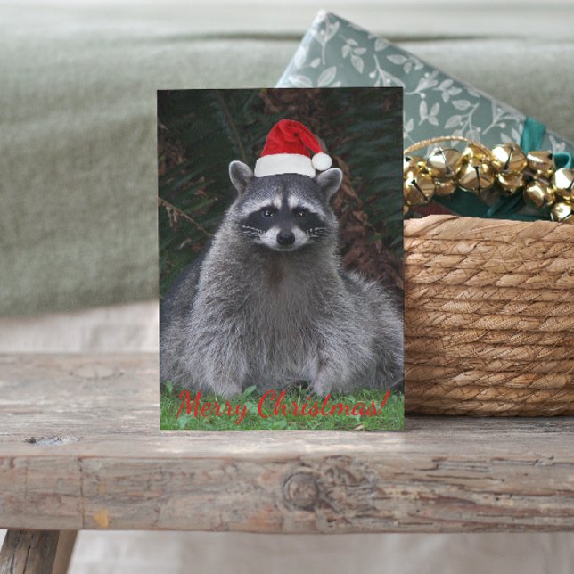 Niedliches Raccoon mit roter Weihnachtsmannmütze Feiertagspostkarte (In Situ)