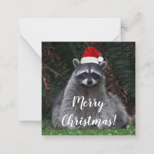 Niedliches Raccoon mit roter Weihnachtsmannmütze Mitteilungskarte