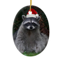 Niedliches Raccoon Rote Weihnachtsmannmütze Urlaub