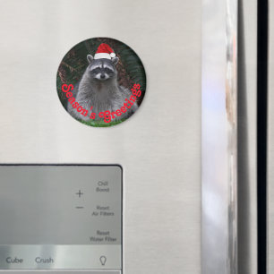 Niedliches Raccoon Rote Weihnachtsmannmütze Urlaub Magnet