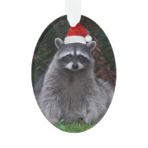 Niedliches Raccoon Rote Weihnachtsmannmütze Urlaub