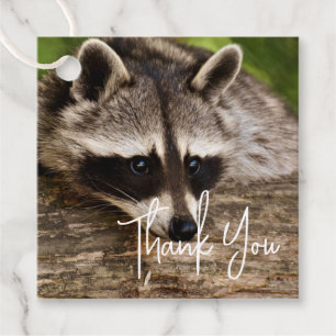 Niedliches Raccoon-Ruhen auf einem Log Vielen Dank Geschenkanhänger