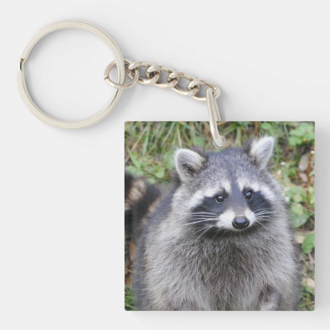 Niedliches Raccoon Schlüsselanhänger (Vorderseite)