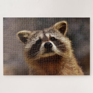 Niedliches Racoon Puzzle