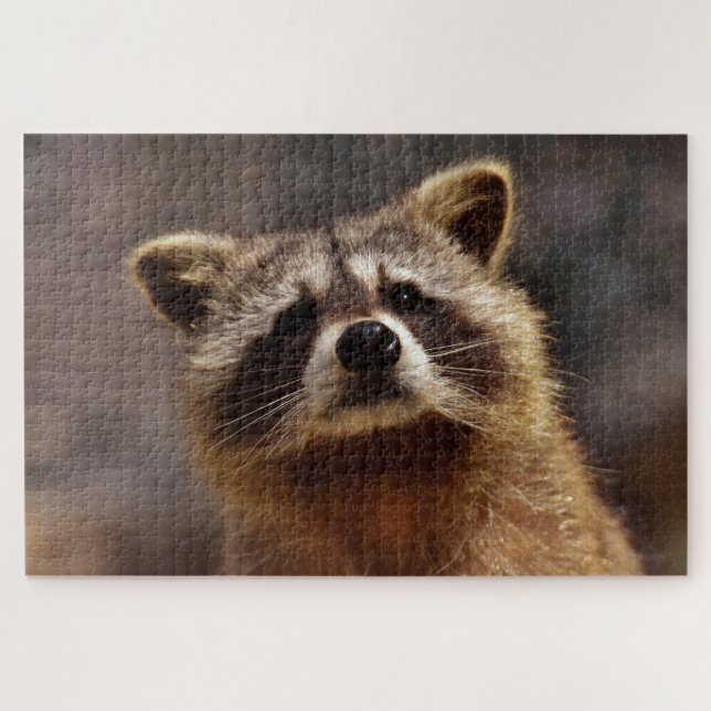 Niedliches Racoon Puzzle (Horizontal)