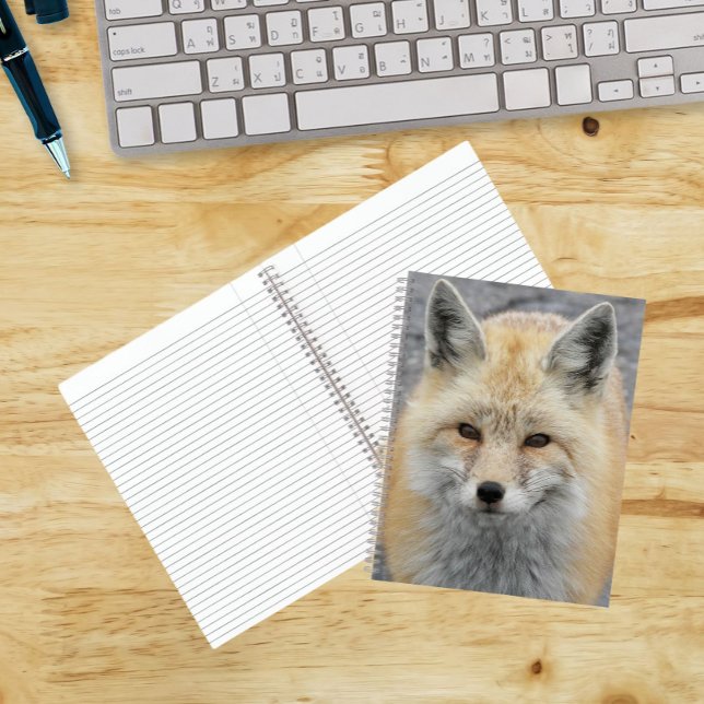 Niedliches Red Fox-Foto Notizbuch (In Situ)