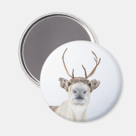 Niedliches Rentier Nature Foto Magnet