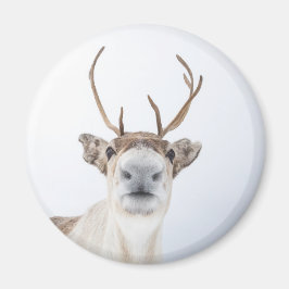 Niedliches Rentier Nature Foto Magnet