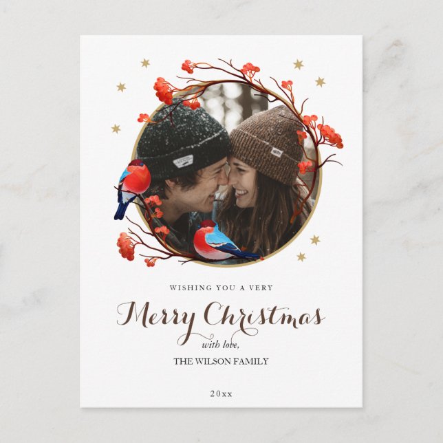 Niedliches Robin Birds Berries Kämpfen Weihnachtsf Postkarte (Vorderseite)