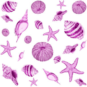 Niedliches rosa Muschelpapier Seidenpapier