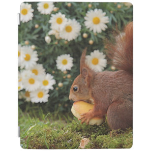 Niedliches Rotes Eichhörnchen und Foto Daisies iPad Hülle