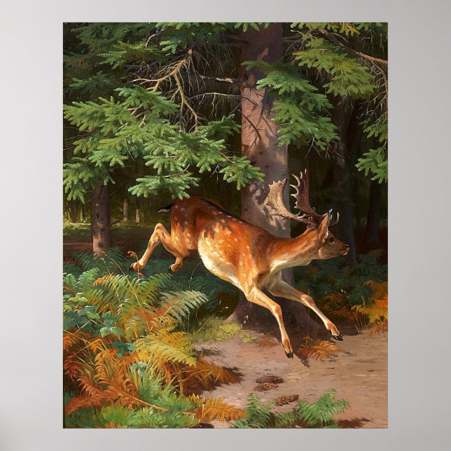 Niedliches Rotwild im Wald Poster (Vorne)