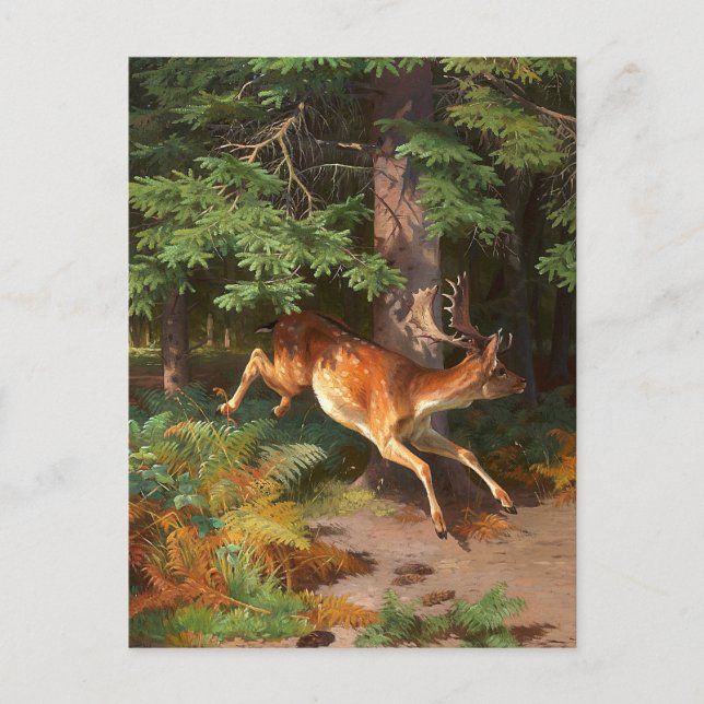 Niedliches Rotwild im Wald Postkarte (Vorderseite)