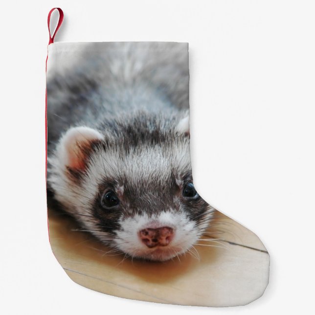 Niedliches Sable Ferret Kleiner Weihnachtsstrumpf (Vorderseite)