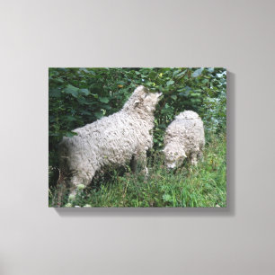 Niedliches Schaf, das Blätter frisst, Leinwanddruc Leinwanddruck