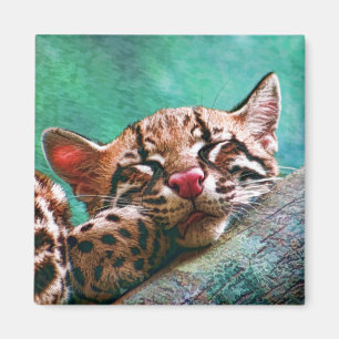 Niedliches Schlafbaby Ocelot Kitten Magnet